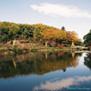 秋の薬師池公園　フィルム写真