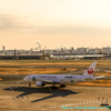JAL　JA8984