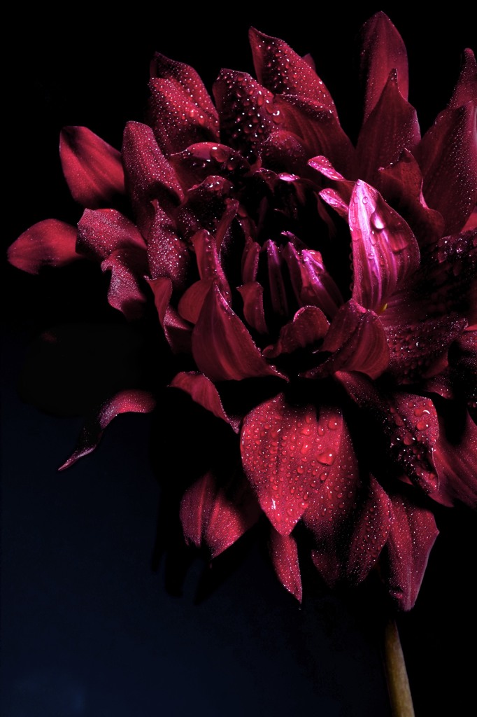 「花」