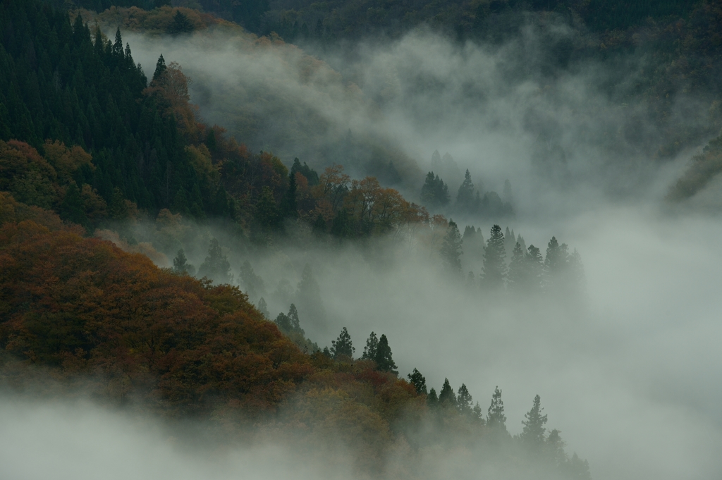 朝霧の渓谷#2