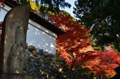紅蓮の心