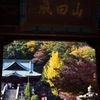 貞照寺の紅葉