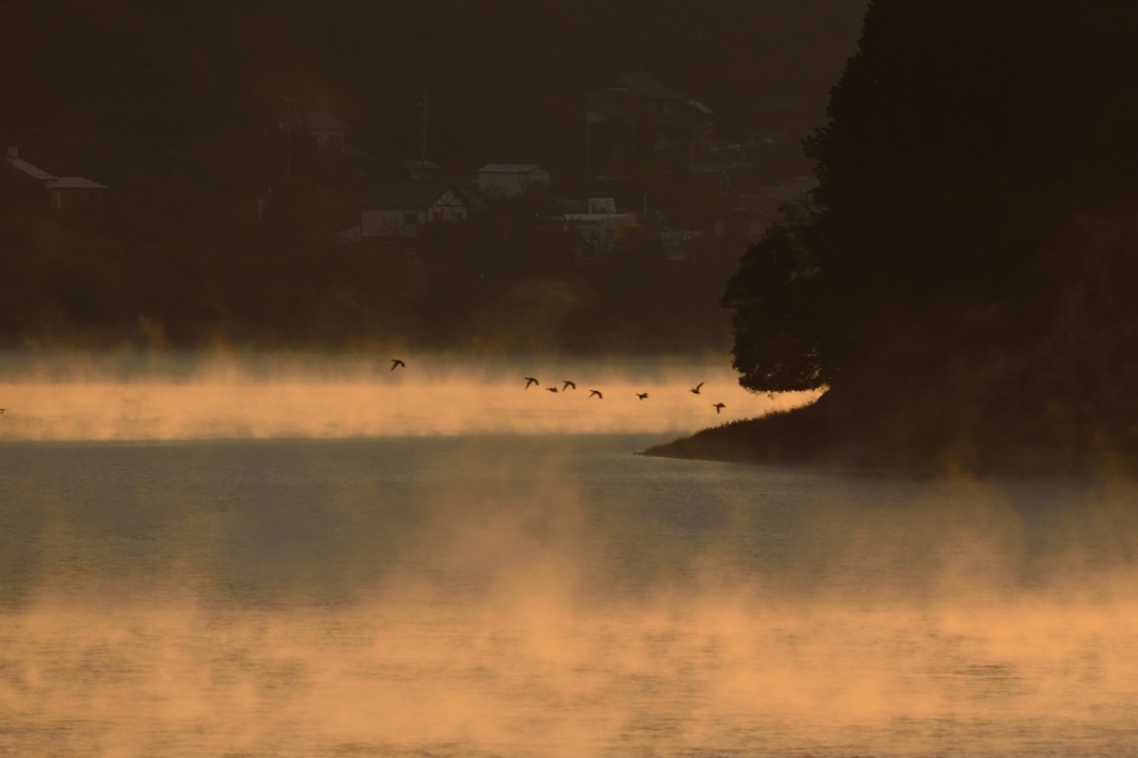 黎明の湖畔