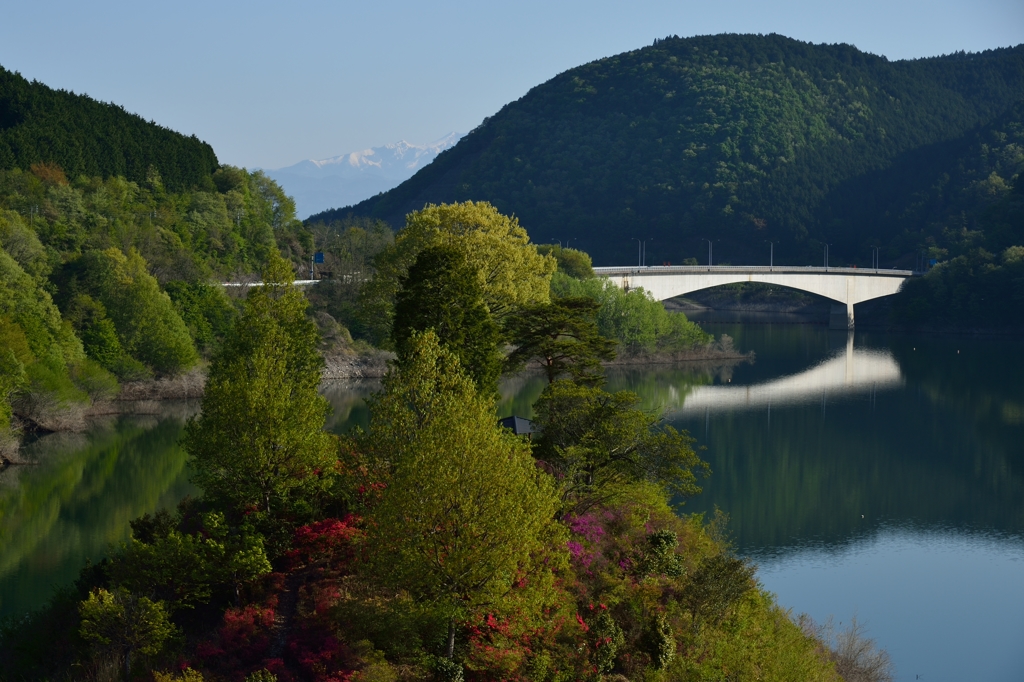 新緑の阿木川湖