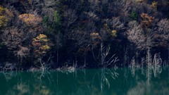 徳山湖秋景#4