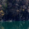 徳山湖秋景#4