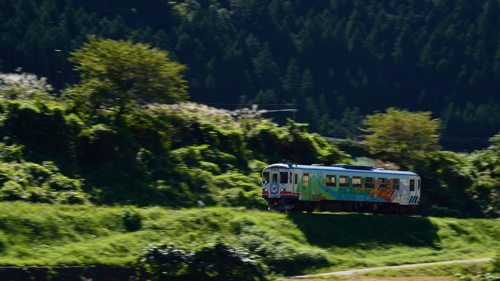越美南線里風景