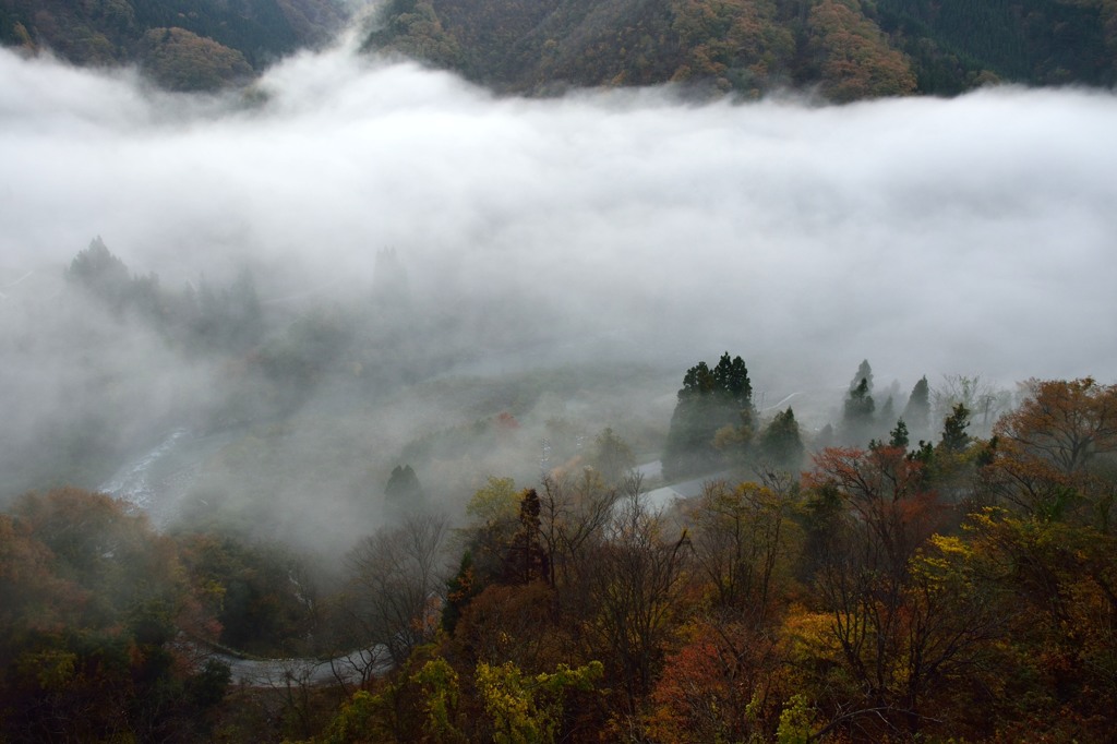 朝霧の渓谷
