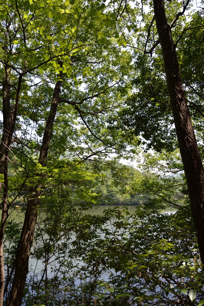 D60_0084
