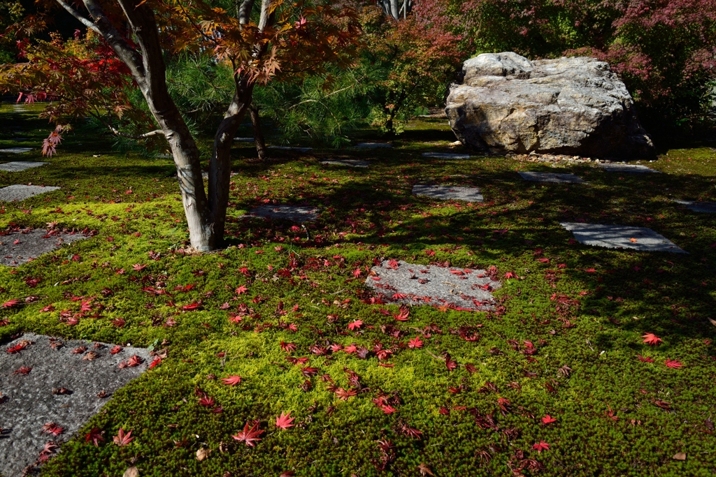 紅葉の庭