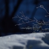 Blue Morning #2