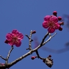 梅三昧：二味