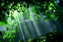 Green Shower