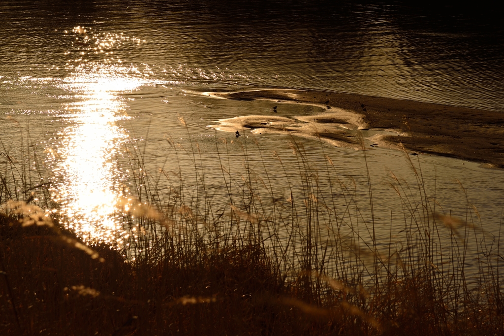 河原の風景Ver.2