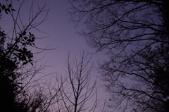 夕暮れ