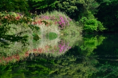 Green Pond #2
