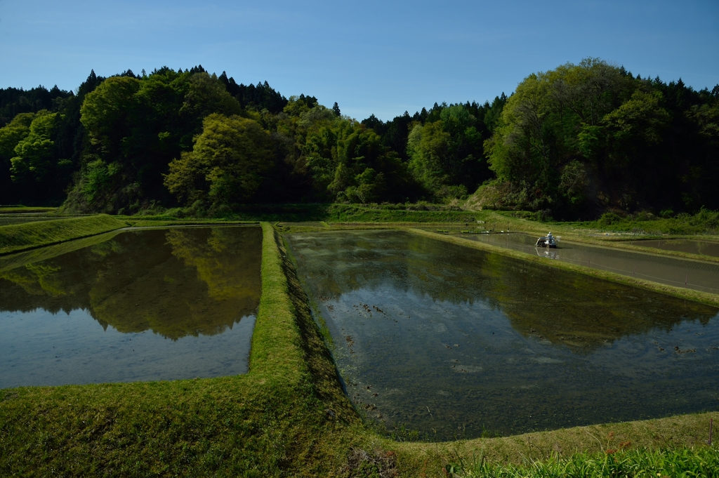 5月の農村風景