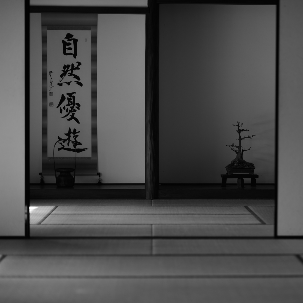 和空間