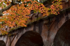 南禅寺水路の紅葉