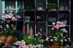 Flowers & Shelves