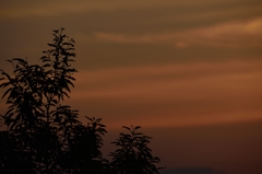 夕景の時
