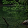 翠色春景#3