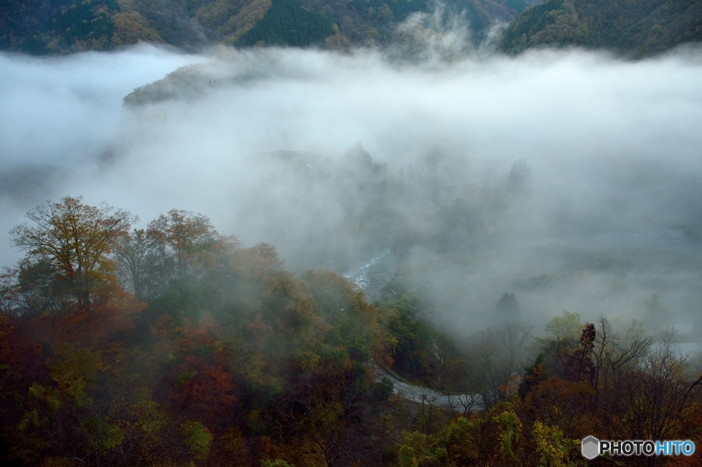朝霧の谷