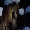 雪中仏#1