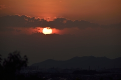挟まれた夕日