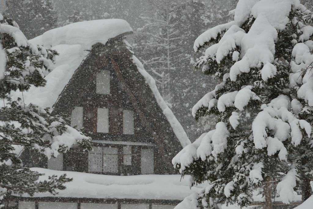 豪雪の合掌作り