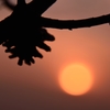 夕景
