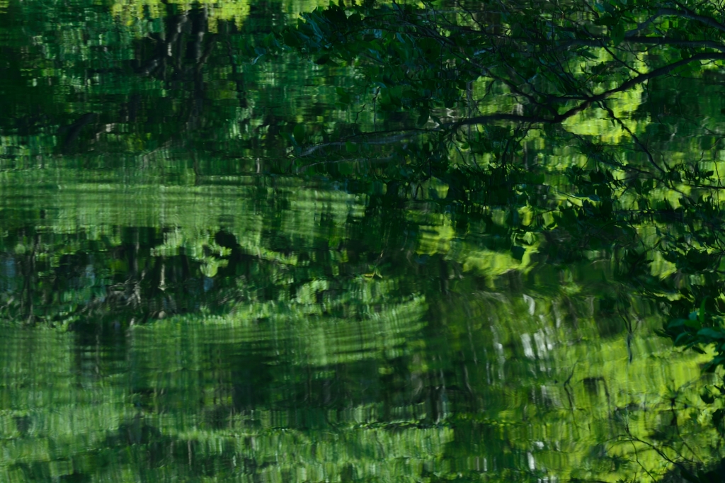 水絵