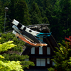 端午の節句３
