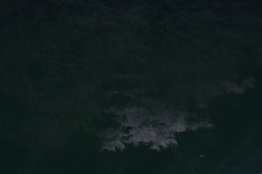 春眠