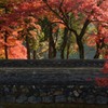 紅葉の宴