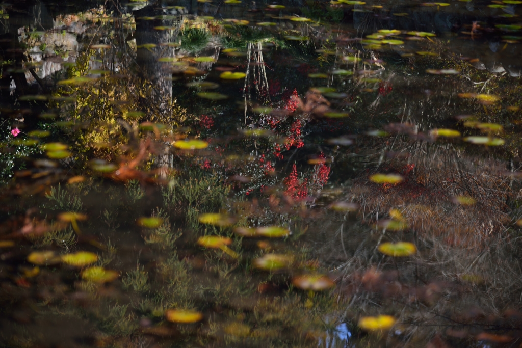 水鏡