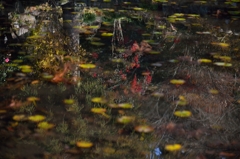 水鏡