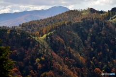 秋の富士見台