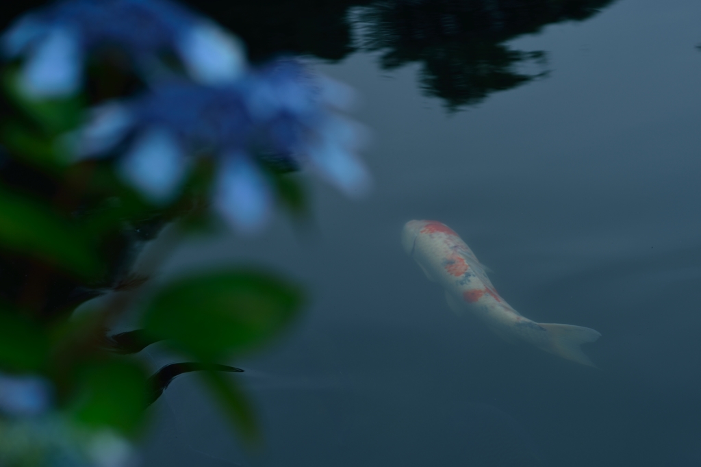 水無月の風景