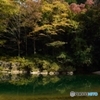 川辺の紅葉