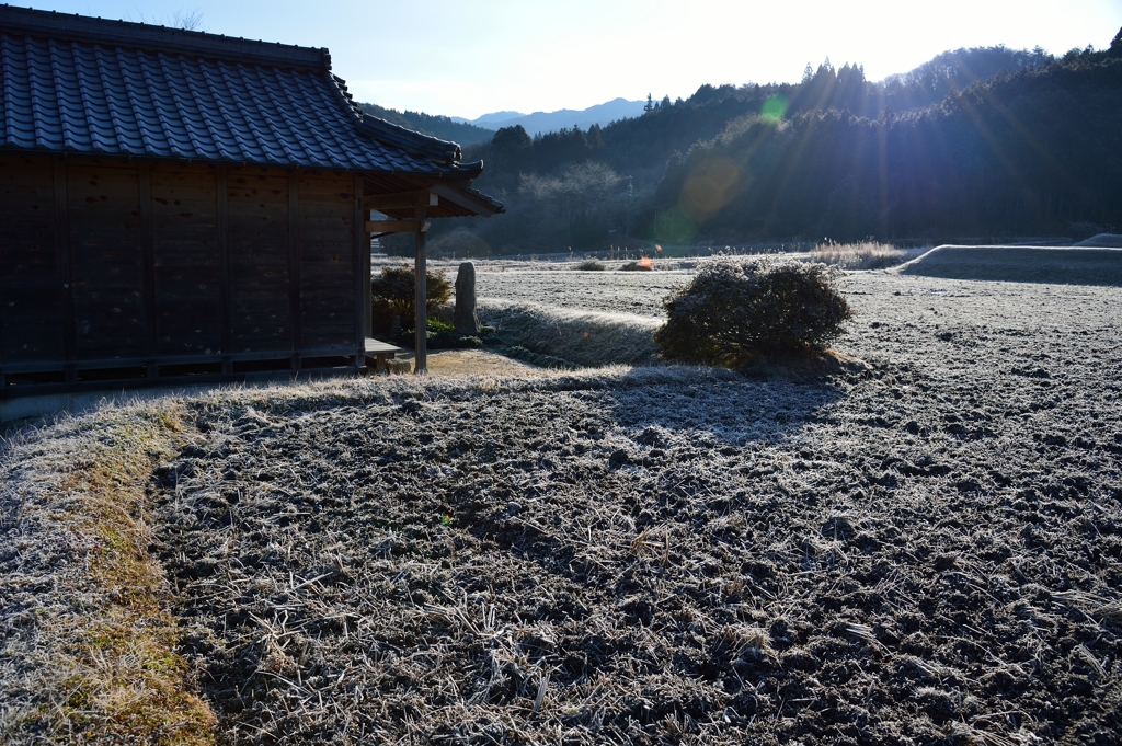 霜が降りた朝