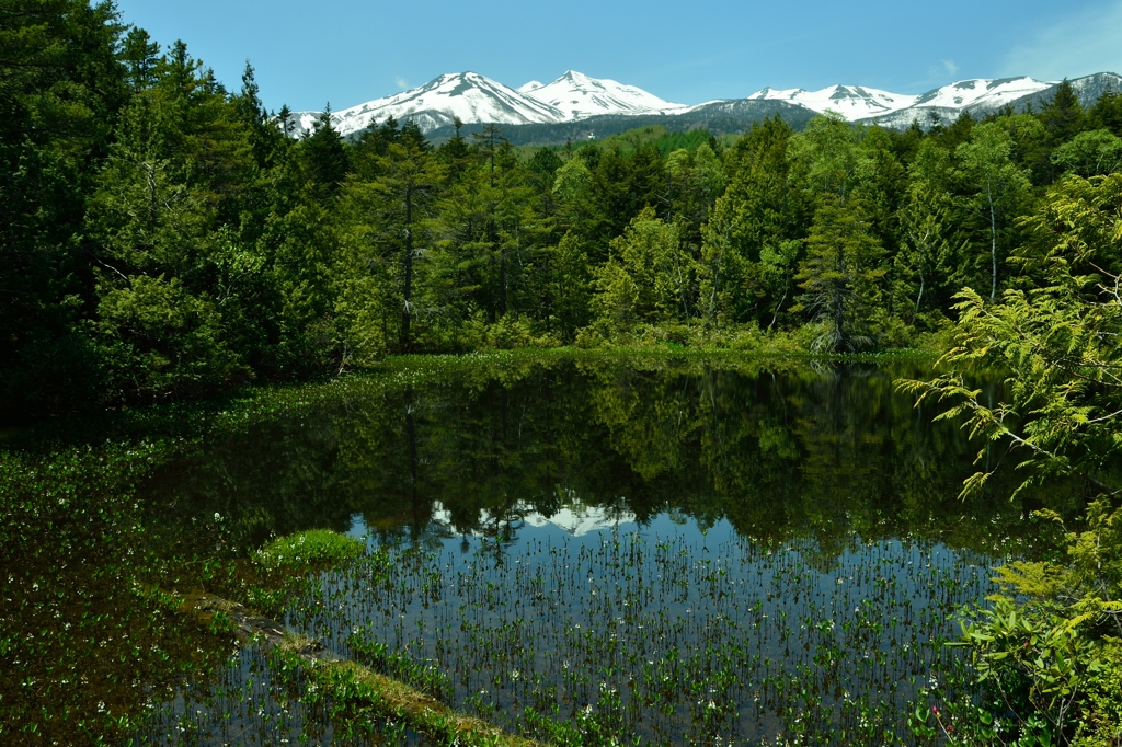 牛留池の風景