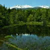 牛留池の風景