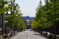 犬山城遠景