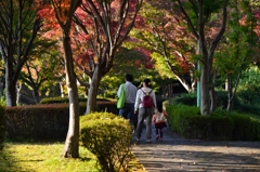 秋の散歩道