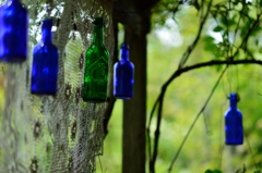 Green Bottle