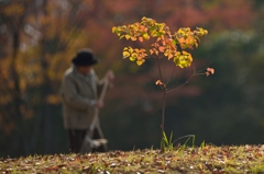 公園の朝