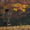 公園の朝