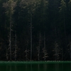 stage