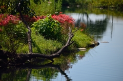 水辺の風景＊１